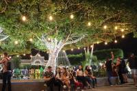 Prefeitura realizou o Acendimento das Luzes, abrindo oficialmente o Araruna Luz 2022