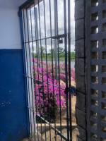 Prefeitura assina ordem de serviço para a reforma da Escola Mata Velha