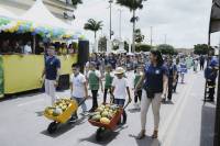 Araruna realiza Desfile Cívico-Militar e Escolar 2025 com sucesso