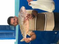 Governo Municipal de Araruna entrega Kit Peixe na Semana Santa