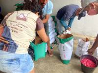 Agricultores são beneficiados com sementes de milho, feijão e sorgo