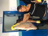 Governo Municipal de Araruna entrega Kit Peixe na Semana Santa