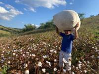 Prefeito Vital Costa participou de reunião que levou informação e boas noticias aos agricultores familiares em Araruna