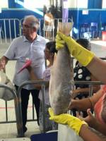 Governo Municipal de Araruna entrega Kit Peixe na Semana Santa
