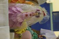 Araruna realiza Exposição de Artesanato e Artes Plásticas através da Lei Aldir Blanc