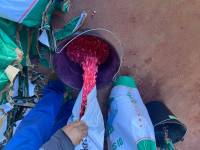 Agricultores são beneficiados com sementes de milho, feijão e sorgo