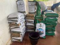 Agricultores são beneficiados com sementes de milho, feijão e sorgo