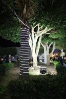 Prefeitura realizou o Acendimento das Luzes, abrindo oficialmente o Araruna Luz 2022