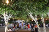 Prefeitura realizou o Acendimento das Luzes, abrindo oficialmente o Araruna Luz 2022