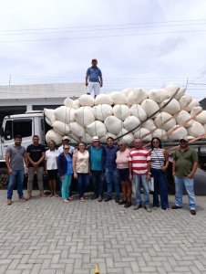 Prefeitura de Araruna fortalece cultura do algodão orgânico e envia mais de 3,3 toneladas para processamento