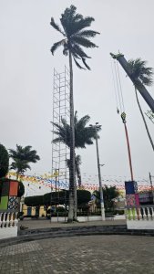 Prefeitura de Araruna realiza supressão de Palmeira Imperial na Praça João Pessoa por questões de segurança