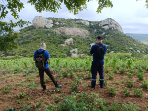 Araruna é o primeiro município da Paraíba a mapear riscos de acidentes geológicos em áreas turísticas